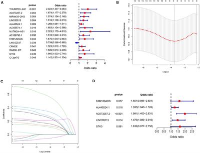 Identification and Validation of an Immune-Related eRNA Prognostic Signature for Hepatocellular Carcinoma